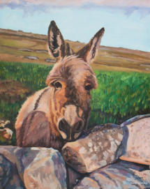 oil painting of a donkey by Elaine Conneely
