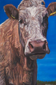 oil paintng of a cow by Elaine Conneely