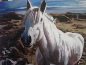 oil painting of a connemara pony
